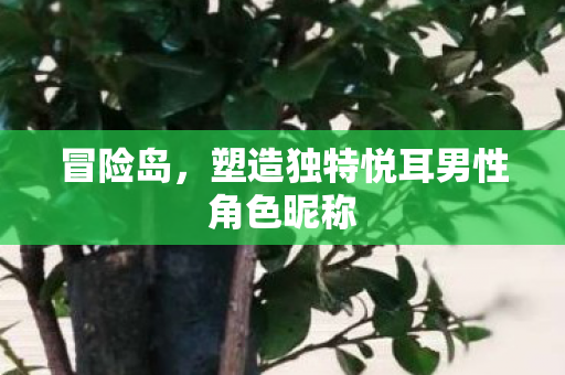 塑造独特悦耳男性角色昵称图片