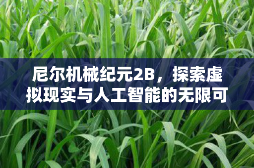 探索虚拟现实与人工智能的无限可能图片