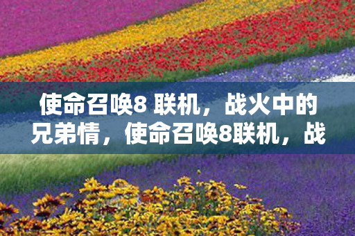 并肩作战的荣耀时刻图片