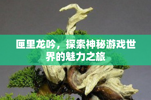 探索神秘游戏世界的魅力之旅图片