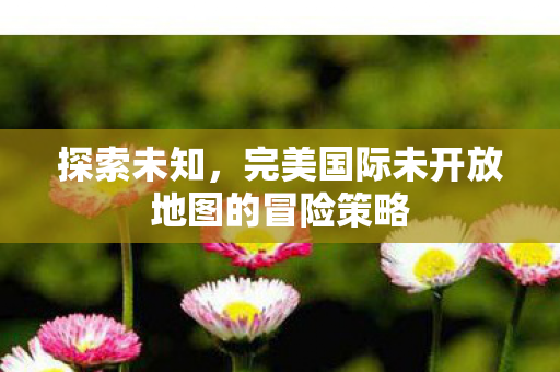 完美国际未开放地图的冒险策略图片