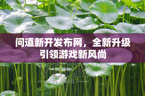 全新升级引领游戏新风尚图片