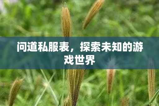 探索未知的游戏世界图片