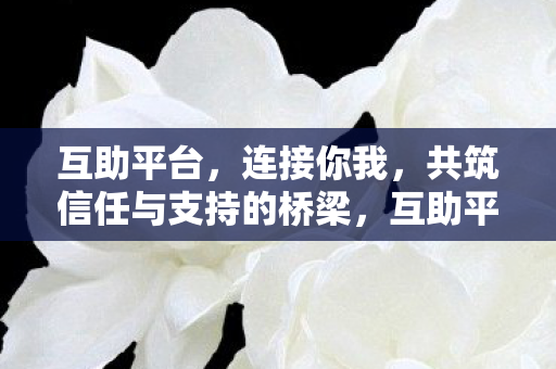 共筑信任与支持的桥梁图片