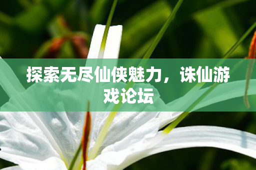 探索无尽仙侠魅力图片