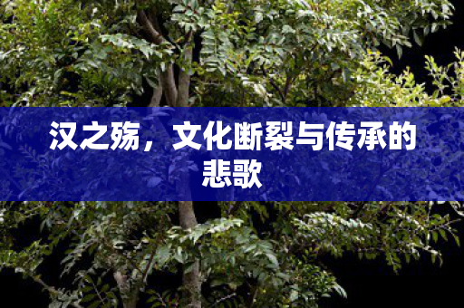 汉之殇，文化断裂与传承的悲歌