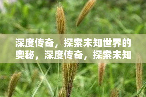 探索未知世界的奥秘图片