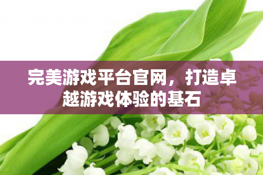 打造卓越游戏体验的基石图片