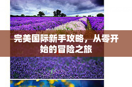 从零开始的冒险之旅图片