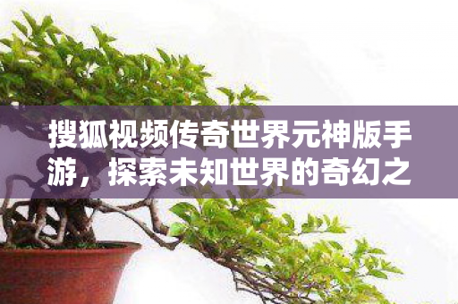 搜狐视频传奇世界元神版手游图片