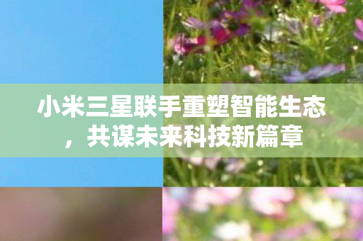 小米三星联手重塑智能生态图片
