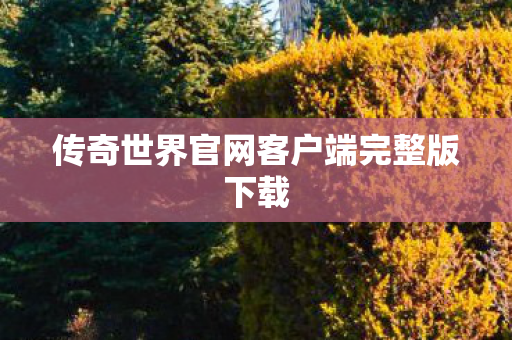 传奇世界官网客户端完整版下载 传奇世界官网客户端完整版下载