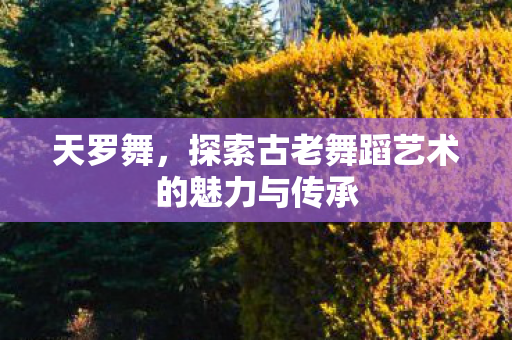 探索古老舞蹈艺术的魅力与传承图片