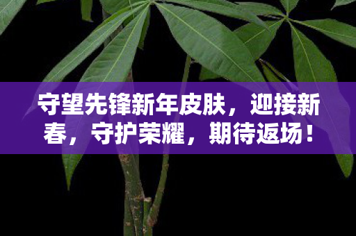 守望先锋新年皮肤图片