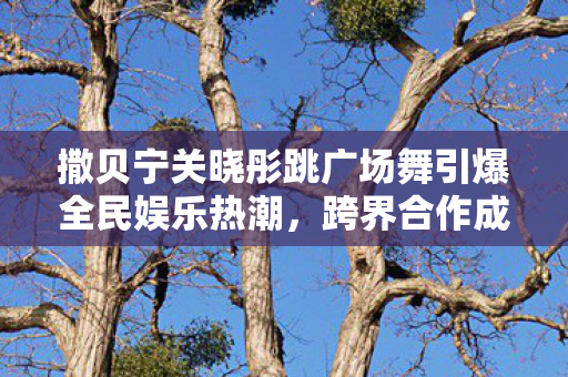 撒贝宁关晓彤跳广场舞引爆全民娱乐热潮图片