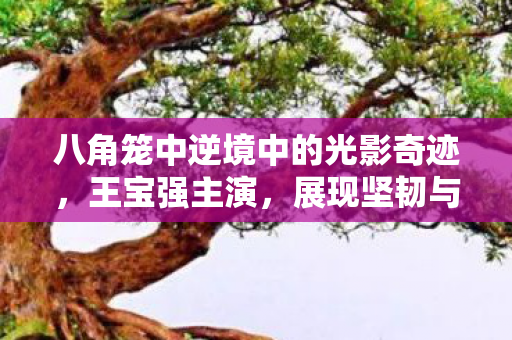 八角笼中逆境中的光影奇迹图片