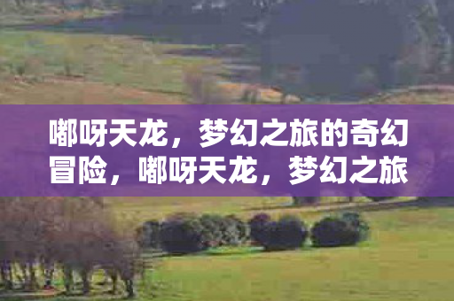 梦幻之旅的奇幻冒险图片