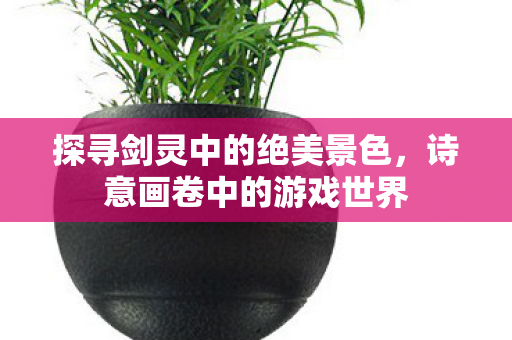 探寻剑灵中的绝美景色图片