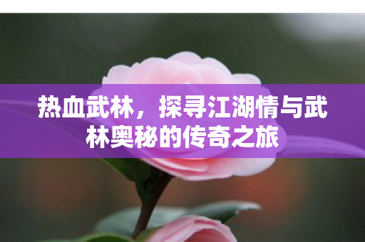 探寻江湖情与武林奥秘的传奇之旅图片
