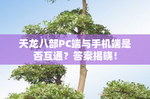 天龙八部PC端与手机端是否互通图片