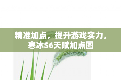 寒冰S6天赋加点图图片