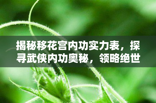 揭秘移花宫内功实力表图片