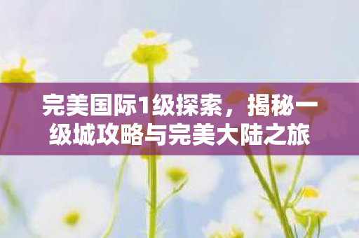 揭秘一级城攻略与完美大陆之旅图片