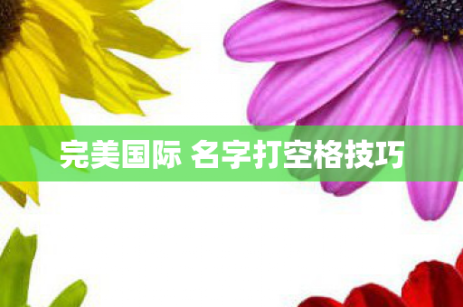完美国际 名字打空格技巧图片