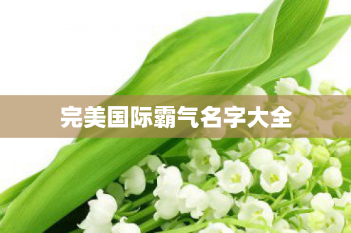 完美国际霸气名字大全图片