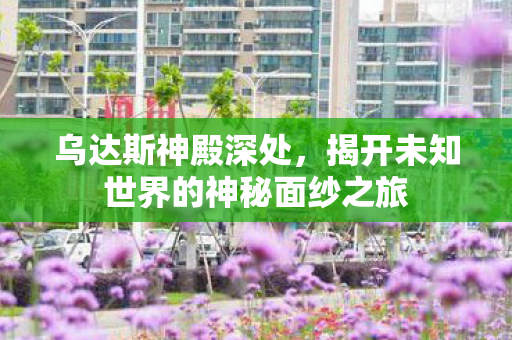 揭开未知世界的神秘面纱之旅图片