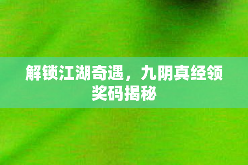 九阴真经领奖码揭秘图片