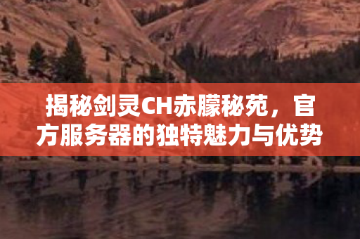 官方服务器的独特魅力与优势全解析图片