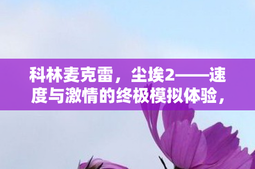 科林麦克雷,尘埃2——速度与激情的终极模拟体验,尘埃2,科林麦克雷的终极模拟体验,速度与激情的碰撞! 科林麦克雷,尘埃2——速度与激情的终极模拟体验,尘埃2,科林麦克雷的终极模拟体验,速度与激情的碰撞!