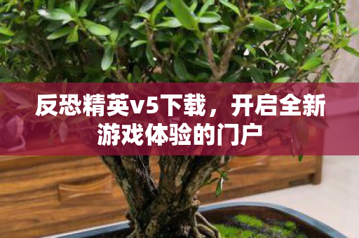 开启全新游戏体验的门户图片
