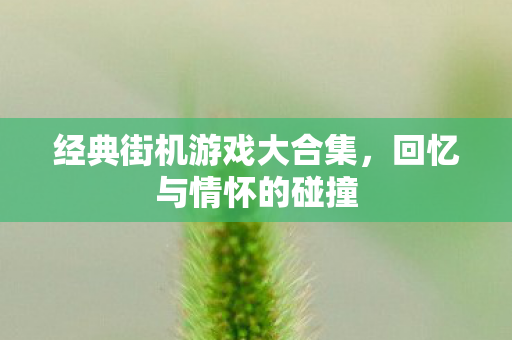 经典街机游戏大合集图片