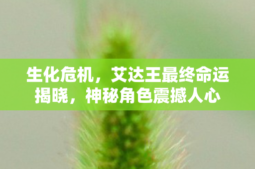 艾达王最终命运揭晓图片