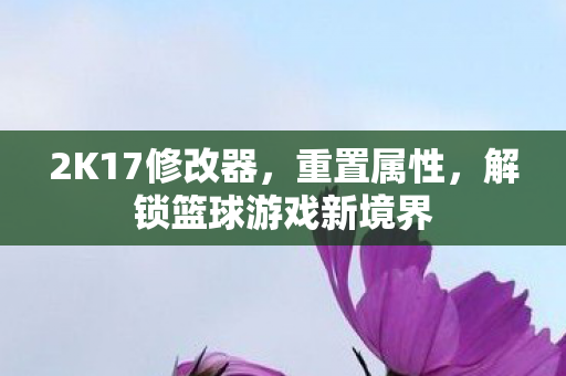 解锁篮球游戏新境界图片
