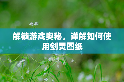解锁游戏奥秘,详解如何使用剑灵图纸 解锁游戏奥秘,详解如何使用剑灵图纸