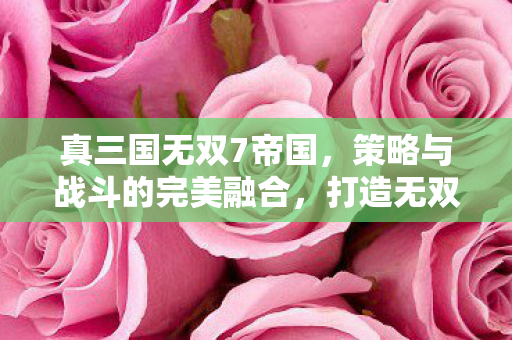 真三国无双7帝国，策略与战斗的完美融合，打造无双帝国！