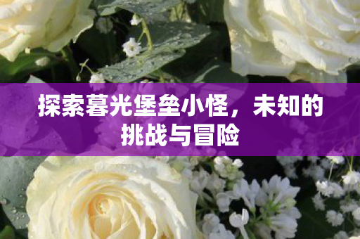 探索暮光堡垒小怪图片