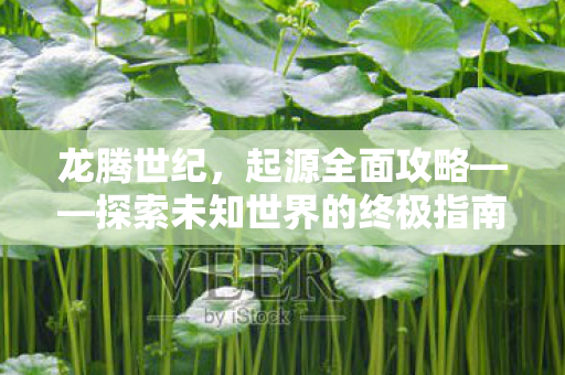 探索未知世界的终极指南图片