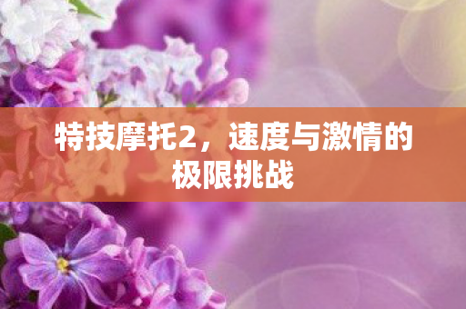 速度与激情的极限挑战图片
