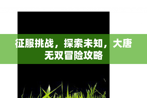 大唐无双冒险攻略图片