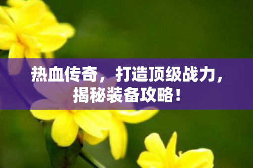 打造顶级战力图片