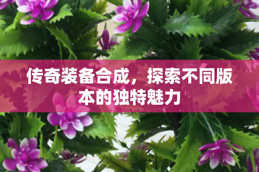 探索不同版本的独特魅力图片