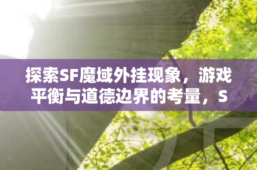 探索SF魔域外挂现象，游戏平衡与道德边界的考量，SF魔域外挂现象，游戏平衡与道德边界的考量