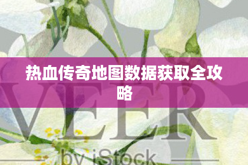 热血传奇地图数据获取全攻略图片