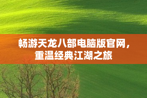 畅游天龙八部电脑版官网图片