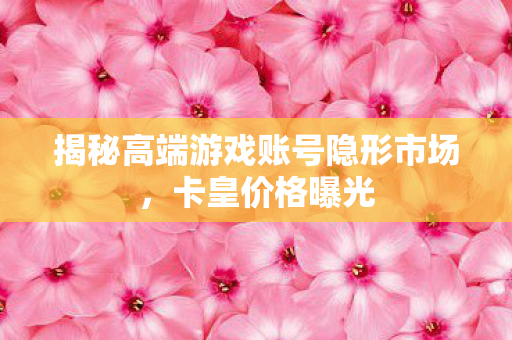 揭秘高端游戏账号隐形市场图片