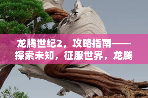 龙腾世纪2,攻略指南——探索未知,征服世界,龙腾世纪2攻略,探索未知,征服世界 龙腾世纪2,攻略指南——探索未知,征服世界,龙腾世纪2攻略,探索未知,征服世界